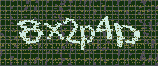 CAPTCHA_picture