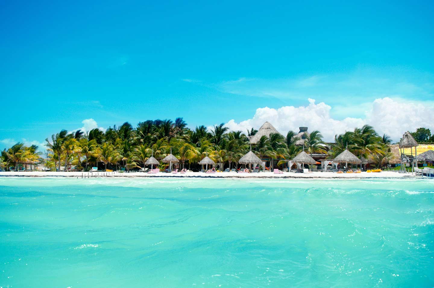 Snorkel in Holbox, Mexico snorkel in holbox